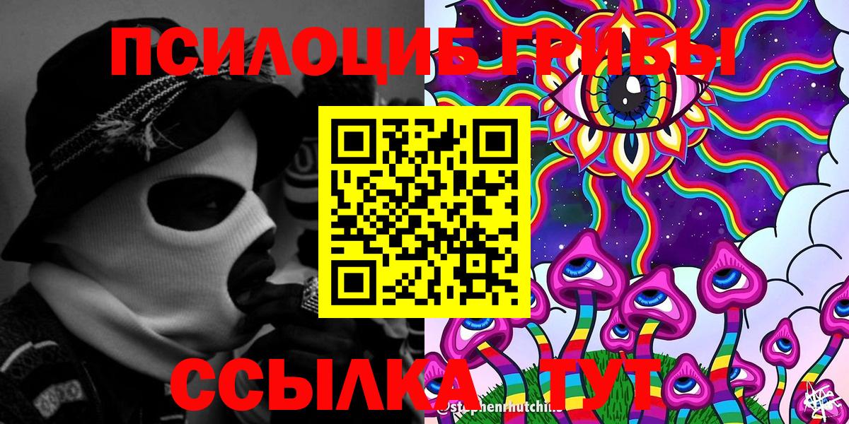 Псилоцибиновые грибы прущие грибы  Вход с VPN  Богданович 