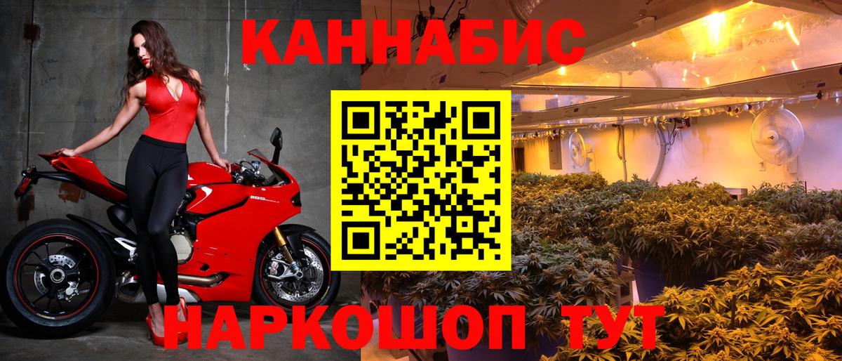 Конопля сатива  Вход с VPN  Богданович  Каннабис марихуана  Бошки марихуана MAZAR 
